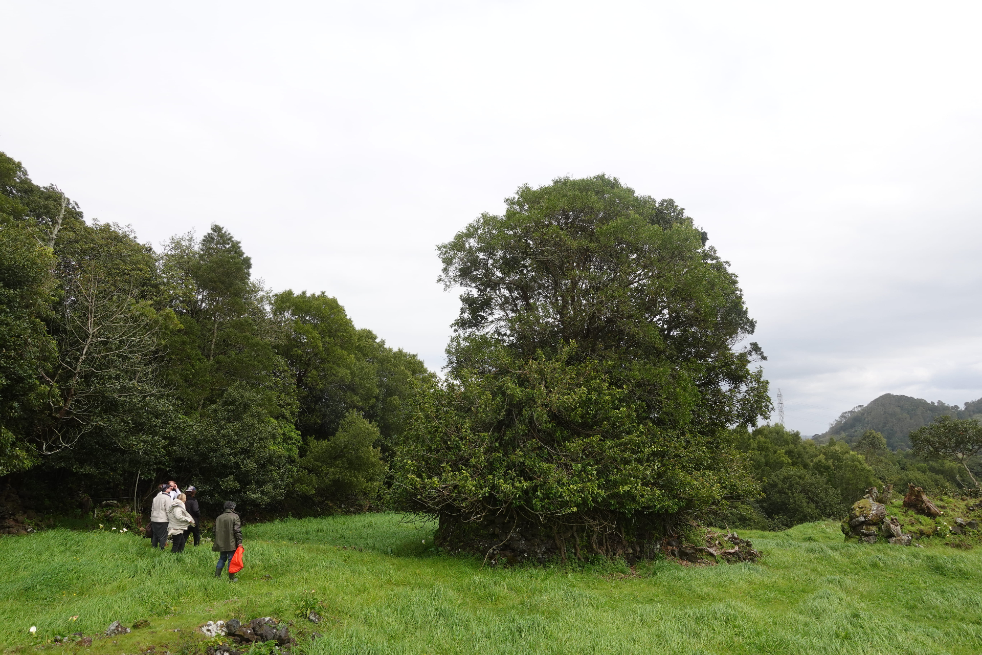Azores retreat — moment 1